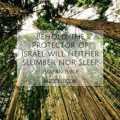 Picture 07 - Psalm 121:4 BSB - Behold, the Protector of Israel will neither - Bible Verse Picture