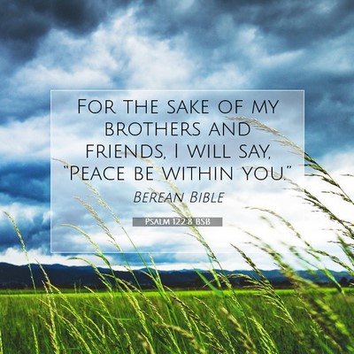 Picture 07 - Psalm 122:8 BSB - For the sake of my brothers and friends, I will - Bible Verse Picture