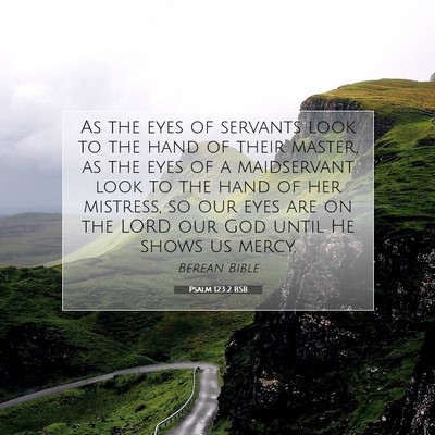 Picture 07 - Psalm 123:2 BSB - As the eyes of servants look to the hand of their - Bible Verse Picture