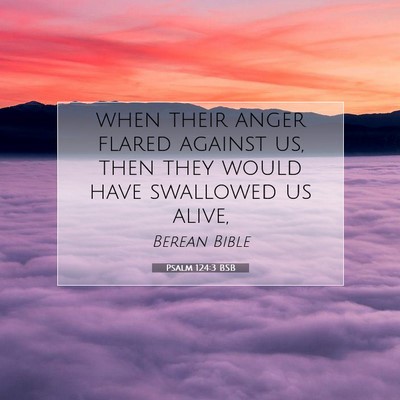 Picture 07 - Psalm 124:3 BSB - when their anger flared against us, then they - Bible Verse Picture