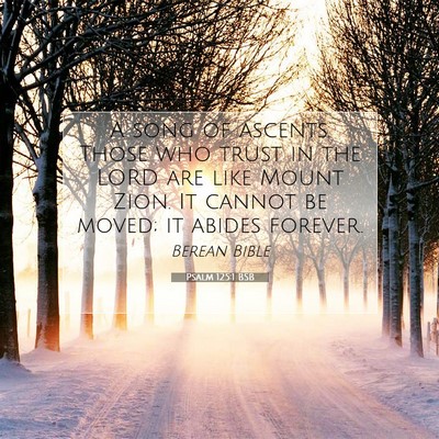 Picture 07 - Psalm 125:1 BSB - A song of ascents. Those who trust in the LORD - Bible Verse Picture