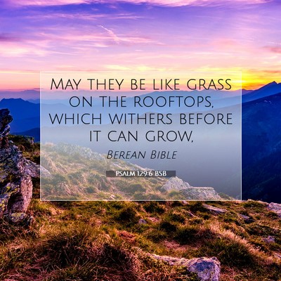 Picture 07 - Psalm 129:6 BSB - May they be like grass on the rooftops, which - Bible Verse Picture
