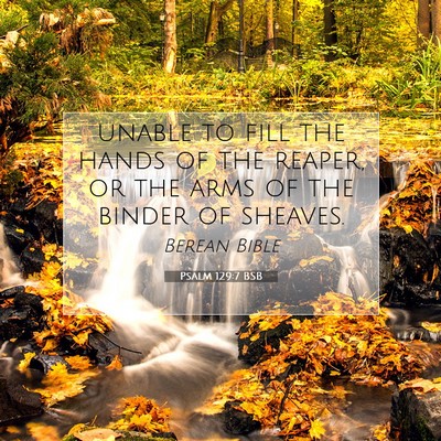 Picture 07 - Psalm 129:7 BSB - unable to fill the hands of the reaper, or the - Bible Verse Picture