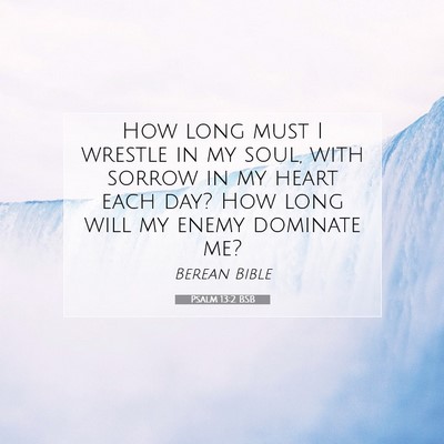 Picture 07 - Psalm 13:2 BSB - How long must I wrestle in my soul, with sorrow - Bible Verse Picture
