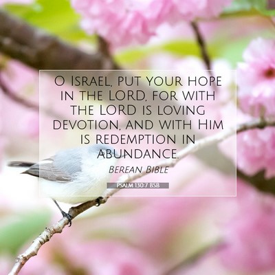 Picture 07 - Psalm 130:7 BSB - O Israel, put your hope in the LORD, for with the - Bible Verse Picture