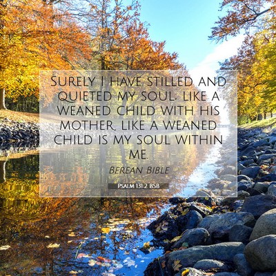 Picture 07 - Psalm 131:2 BSB - Surely I have stilled and quieted my soul; like a - Bible Verse Picture