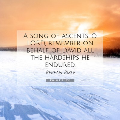 Picture 07 - Psalm 132:1 BSB - A song of ascents. O LORD, remember on behalf of - Bible Verse Picture