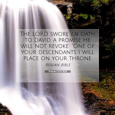 Picture 07 - Psalm 132:11 BSB - The LORD swore an oath to David, a promise He - Bible Verse Picture