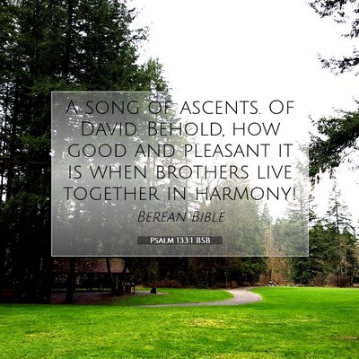 Picture 07 - Psalm 133:1 BSB - A song of ascents. Of David. Behold, how good and - Bible Verse Picture