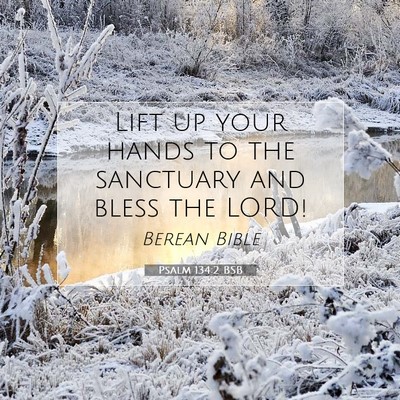 Picture 07 - Psalm 134:2 BSB - Lift up your hands to the sanctuary and bless the - Bible Verse Picture