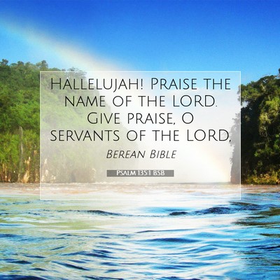 Picture 07 - Psalm 135:1 BSB - Hallelujah! Praise the name of the LORD. Give - Bible Verse Picture