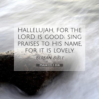 Picture 07 - Psalm 135:3 BSB - Hallelujah, for the LORD is good; sing praises to - Bible Verse Picture