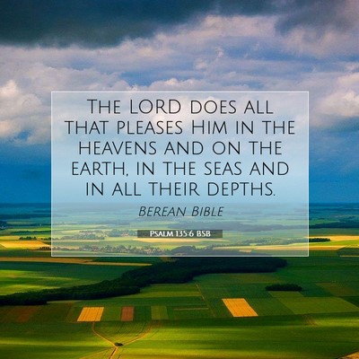 Picture 07 - Psalm 135:6 BSB - The LORD does all that pleases Him in the heavens - Bible Verse Picture