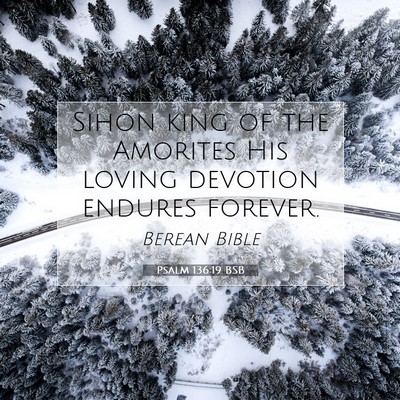 Picture 07 - Psalm 136:19 BSB - Sihon king of the Amorites His loving devotion - Bible Verse Picture