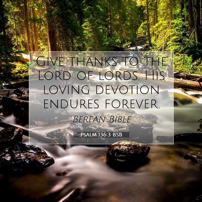 Picture 07 - Psalm 136:3 BSB - Give thanks to the Lord of lords. His loving - Bible Verse Picture