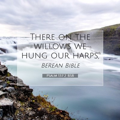 Picture 07 - Psalm 137:2 BSB - There on the willows we hung our - Bible Verse Picture