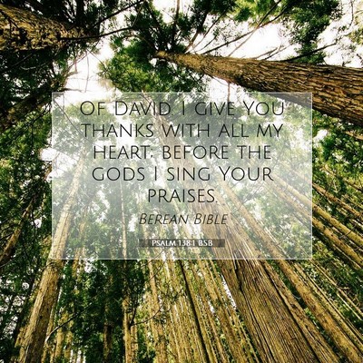 Picture 07 - Psalm 138:1 BSB - Of David. I give You thanks with all my heart; - Bible Verse Picture