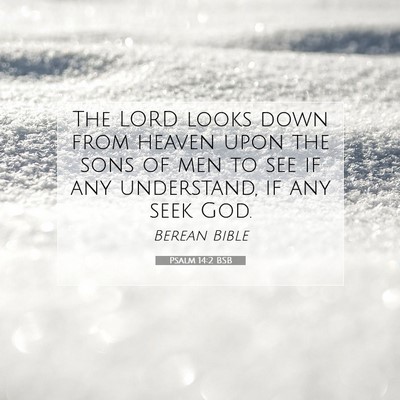 Picture 07 - Psalm 14:2 BSB - The LORD looks down from heaven upon the sons of - Bible Verse Picture
