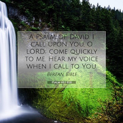 Picture 07 - Psalm 141:1 BSB - A Psalm of David. I call upon You, O LORD; come - Bible Verse Picture