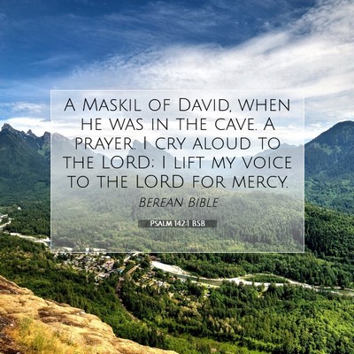 Picture 07 - Psalm 142:1 BSB - A Maskil of David, when he was in the cave. A - Bible Verse Picture