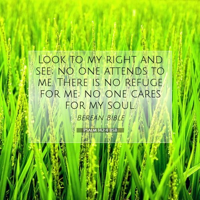 Picture 07 - Psalm 142:4 BSB - Look to my right and see; no one attends to me. - Bible Verse Picture