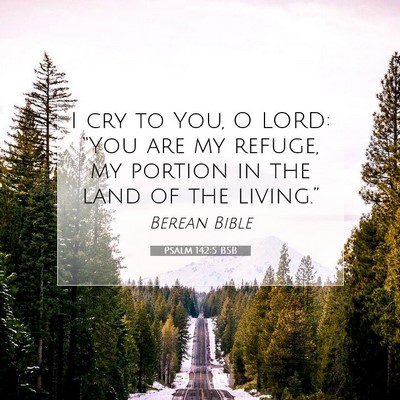 Picture 07 - Psalm 142:5 BSB - I cry to You, O LORD: “You are my refuge, my - Bible Verse Picture