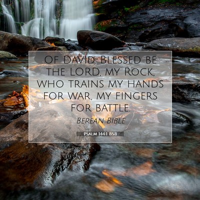 Picture 07 - Psalm 144:1 BSB - Of David. Blessed be the LORD, my Rock, who - Bible Verse Picture