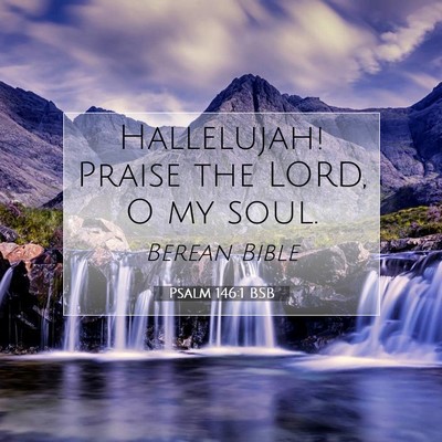 Picture 07 - Psalm 146:1 BSB - Hallelujah! Praise the LORD, O my - Bible Verse Picture