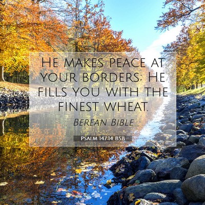 Picture 07 - Psalm 147:14 BSB - He makes peace at your borders; He fills you with - Bible Verse Picture