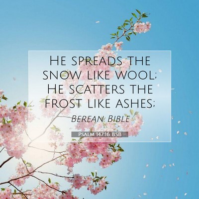 Picture 07 - Psalm 147:16 BSB - He spreads the snow like wool; He scatters the - Bible Verse Picture