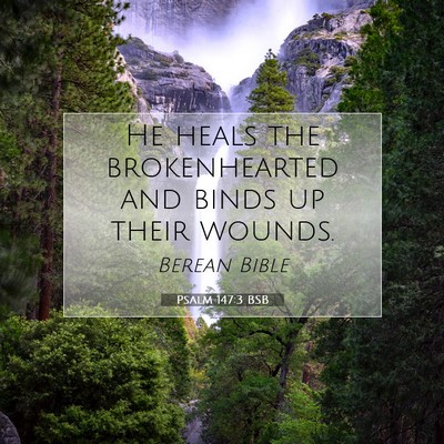 Picture 07 - Psalm 147:3 BSB - He heals the brokenhearted and binds up their - Bible Verse Picture