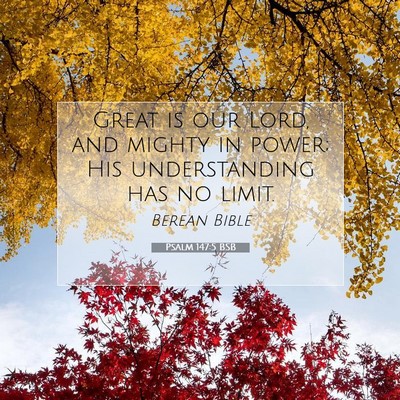 Picture 07 - Psalm 147:5 BSB - Great is our Lord, and mighty in power; His - Bible Verse Picture