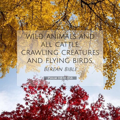 Picture 07 - Psalm 148:10 BSB - wild animals and all cattle, crawling creatures - Bible Verse Picture