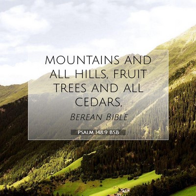 Picture 07 - Psalm 148:9 BSB - mountains and all hills, fruit trees and all - Bible Verse Picture