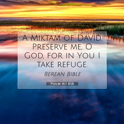 Picture 07 - Psalm 16:1 BSB - A Miktam of David. Preserve me, O God, for in You - Bible Verse Picture