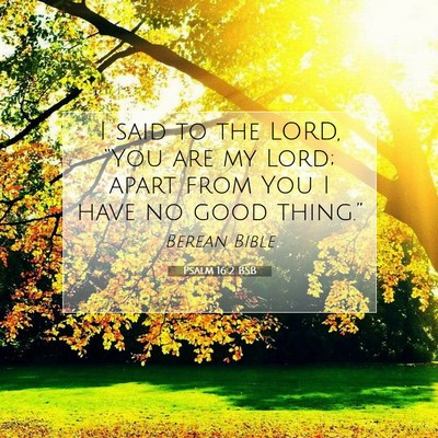 Picture 07 - Psalm 16:2 BSB - I said to the LORD, “You are my Lord; apart - Bible Verse Picture