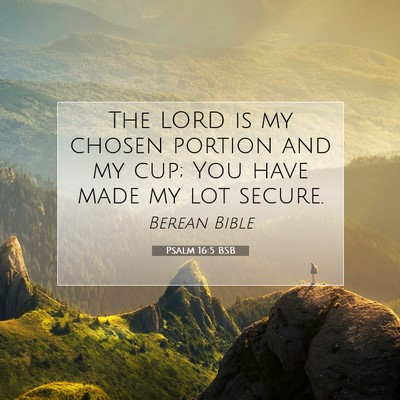 Picture 07 - Psalm 16:5 BSB - The LORD is my chosen portion and my cup; You - Bible Verse Picture