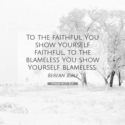 Picture 07 - Psalm 18:25 BSB - To the faithful You show Yourself faithful, to - Bible Verse Picture