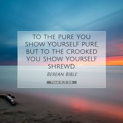 Picture 07 - Psalm 18:26 BSB - to the pure You show Yourself pure, but to the - Bible Verse Picture