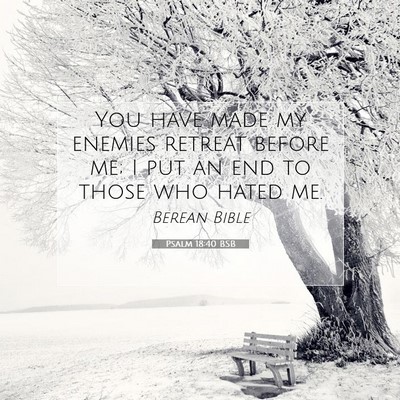 Picture 07 - Psalm 18:40 BSB - You have made my enemies retreat before me; I put - Bible Verse Picture