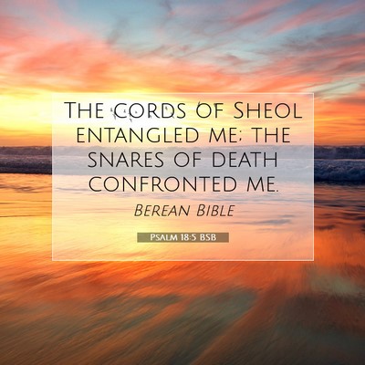 Picture 07 - Psalm 18:5 BSB - The cords of Sheol entangled me; the snares of - Bible Verse Picture