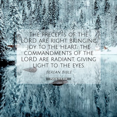 Picture 07 - Psalm 19:8 BSB - The precepts of the LORD are right, bringing joy - Bible Verse Picture