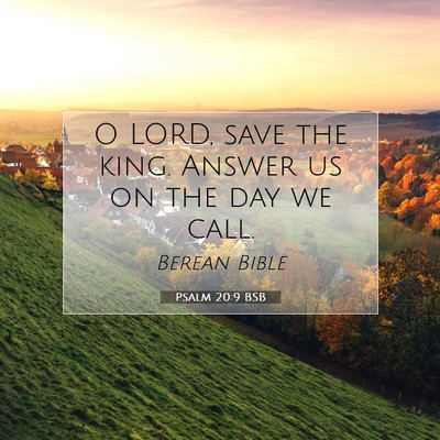Picture 07 - Psalm 20:9 BSB - O LORD, save the king. Answer us on the day we - Bible Verse Picture