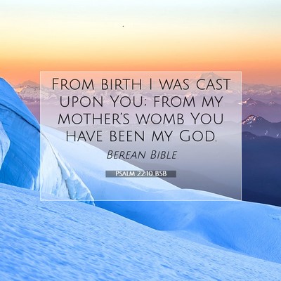 Picture 07 - Psalm 22:10 BSB - From birth I was cast upon You; from my - Bible Verse Picture