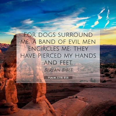 Picture 07 - Psalm 22:16 BSB - For dogs surround me; a band of evil men - Bible Verse Picture