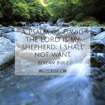 Picture 07 - Psalm 23:1 BSB - A Psalm of David. The LORD is my shepherd; I - Bible Verse Picture