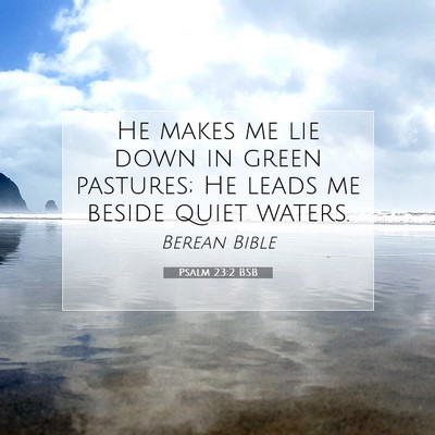 Picture 07 - Psalm 23:2 BSB - He makes me lie down in green pastures; He leads - Bible Verse Picture