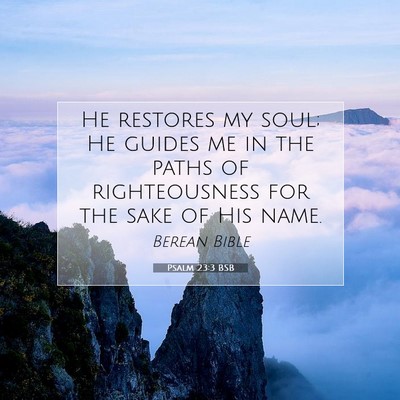Picture 07 - Psalm 23:3 BSB - He restores my soul; He guides me in the paths of - Bible Verse Picture