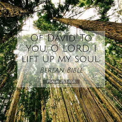 Picture 07 - Psalm 25:1 BSB - Of David. To You, O LORD, I lift up my - Bible Verse Picture