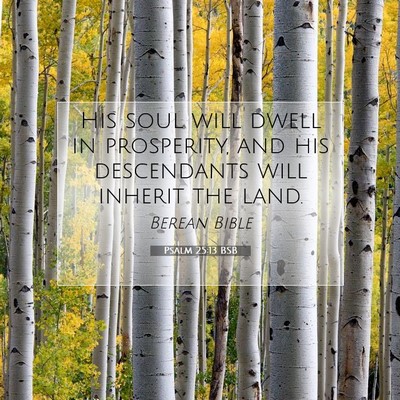 Picture 07 - Psalm 25:13 BSB - His soul will dwell in prosperity, and his - Bible Verse Picture